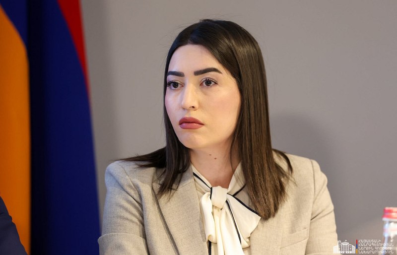 Министр внутренних дел Армении Арпине Саргсян на брифинге о выборах в Тавушской области
