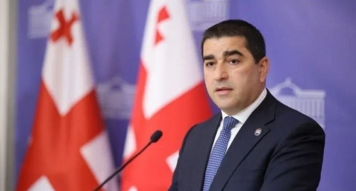 Шалва Папуашвили и Ален Симонян на встрече в парламенте Грузии