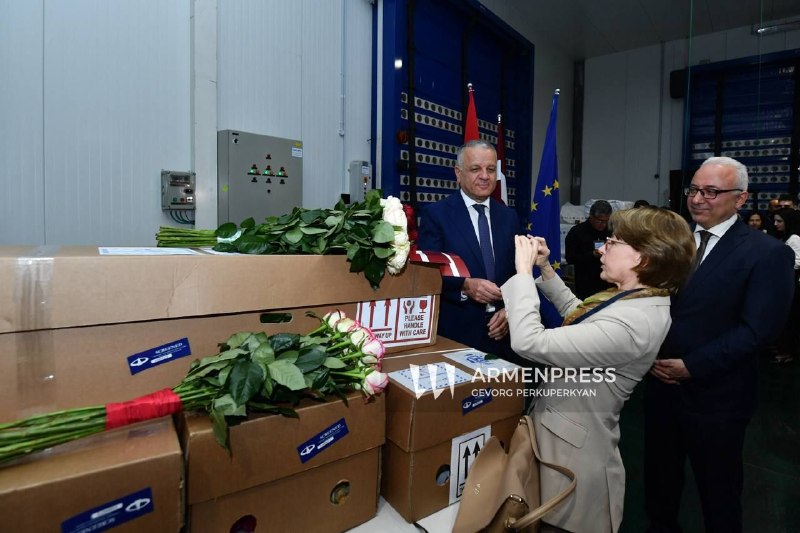 Первая партия из 5500 роз, выращенных в Тавушской области Армении, отправлена в Латвию