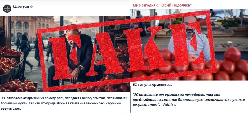 Помидоры на поле в Тавушской области Армении