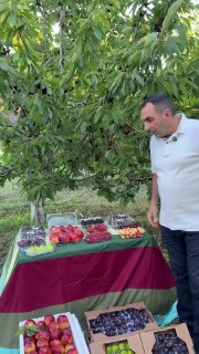 Первая партия армянских фруктов отправляется в ОАЭ из Тавушской области