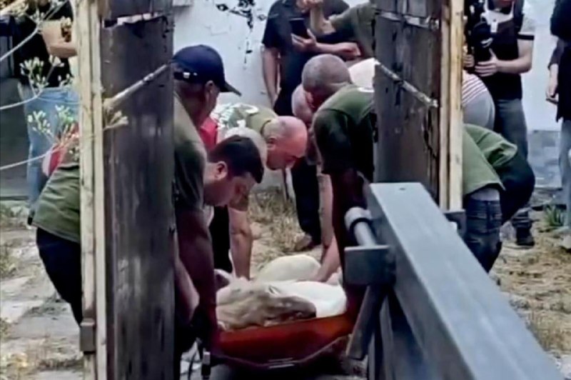 Львица из особняка Гагика Царукяна в Тавушской области не проснулась после усыпления