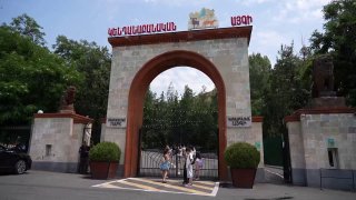 Животные из особняка Царукяна в Ереванском зоопарке: состояние и адаптация